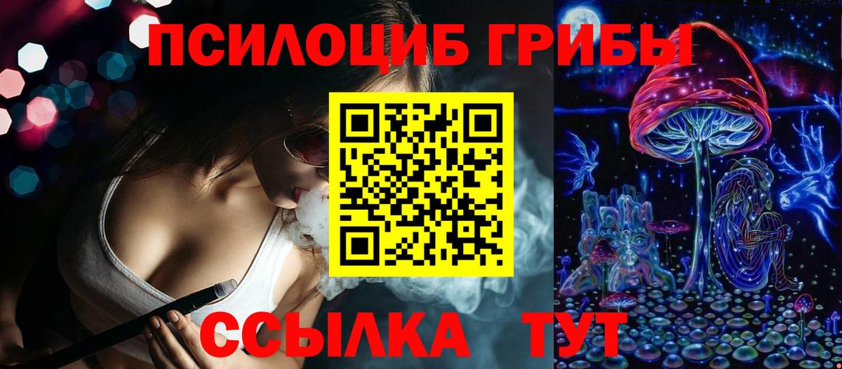 Псилоцибиновые грибы ЛСД  Галлюциногенные грибы Psilocybe  Камышлов  Вход с VPN 